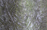 High Brooms fibreglass roof work